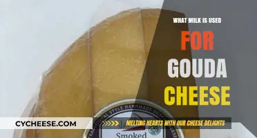 The Milk Behind Gouda's Rich Flavor