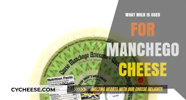 Manchego Cheese: What Milk is Used?