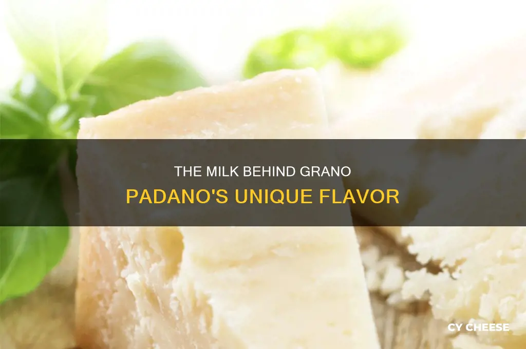 what milk is used to grano padano cheese