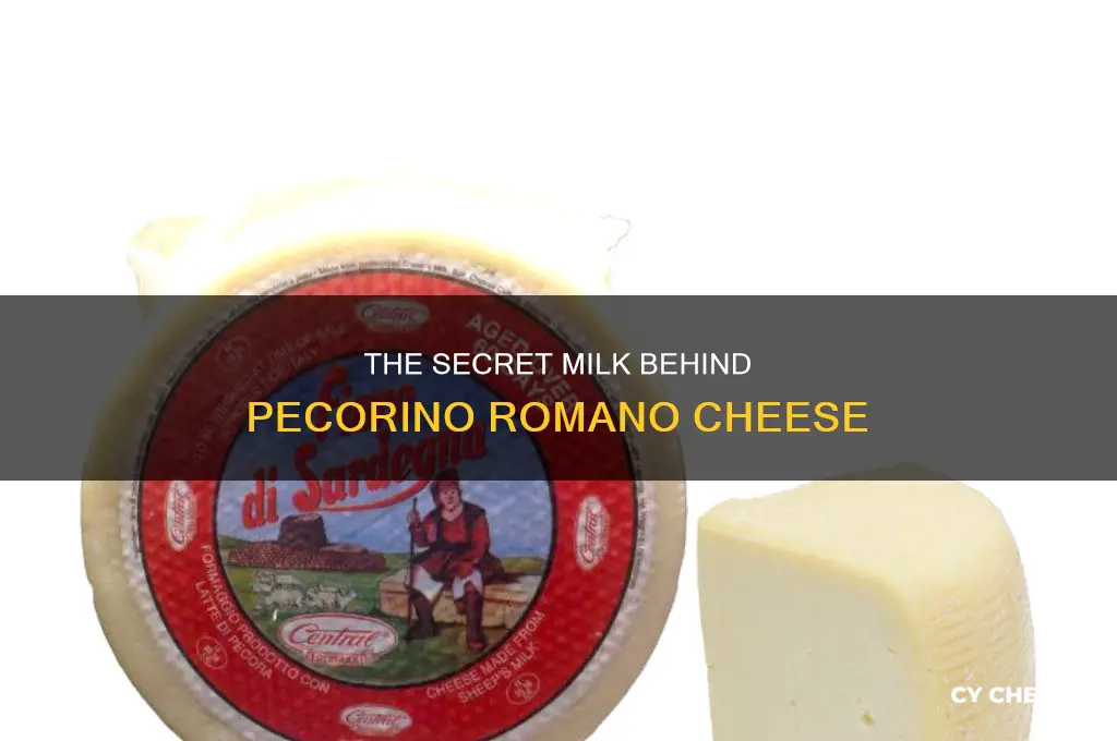 what milk is used to make pecorino romano cheese