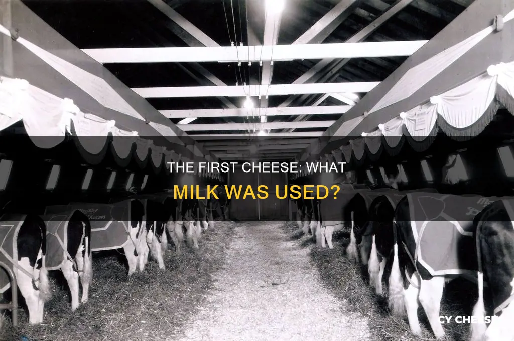 what milk was used to make the frist cheese from