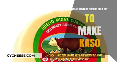 The Perfect Cheese for Kaso: A Guide