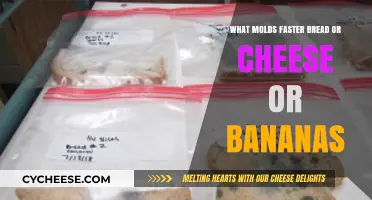Which Food Molds Fastest: Bread, Cheese, or Bananas?