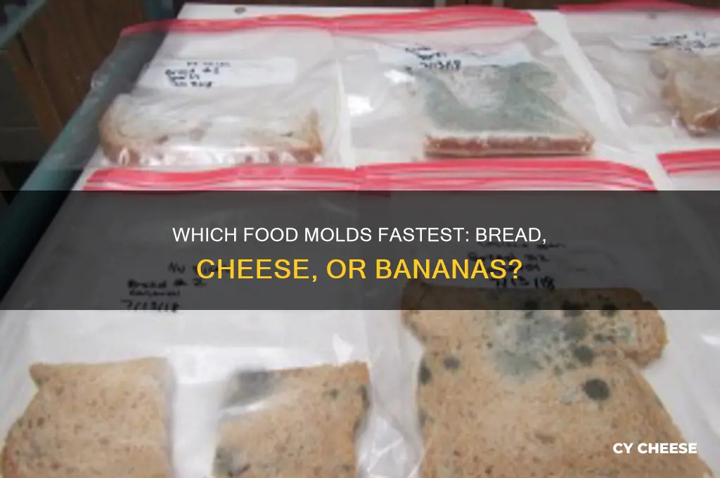 what molds faster bread or cheese or bananas