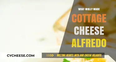 Molly's Cottage Cheese Alfredo: A Creamy, Healthy Twist on Classic Sauce