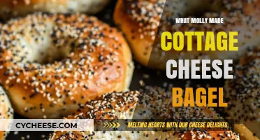 Molly's Cottage Cheese Bagel Recipe: A Creative Twist on Breakfast