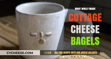 Molly's Cottage Cheese Bagels: A Creative Twist on a Classic Recipe