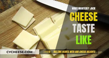 A Creamy, Mildly Sharp: Exploring Monterey Jack's Flavor Profile