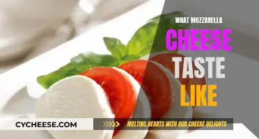 The Taste of Mozzarella: A Cheesy Adventure