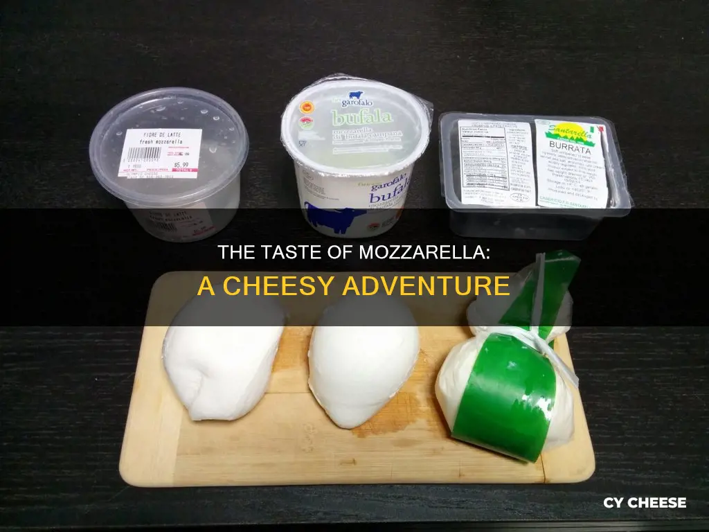 what mozzarella cheese taste like