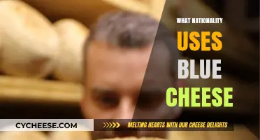 Blue Cheese: A Global Delicacy Explored