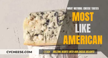 Natural Cheeses: The American Clone