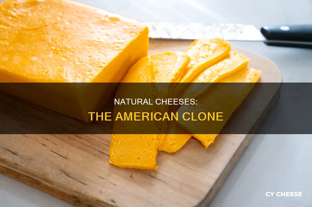 what natural cheese tastes most like american