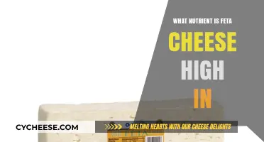 Feta Cheese: A Rich Source of Nutrients