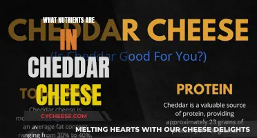 Unveiling Cheddar's Nutritional Secrets: A Cheesy Delight