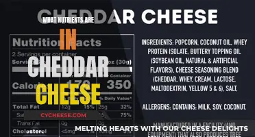 Cheddar Cheese Nutrition: What's Inside This Delicious Dairy?