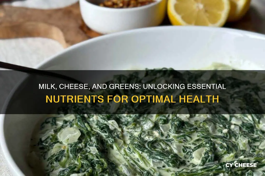 what nutrients are in milk cheese and green vegetables