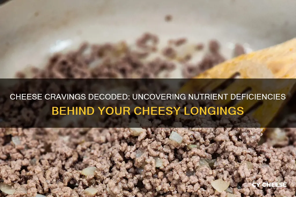 what nutrients are you missing if you crave cheese