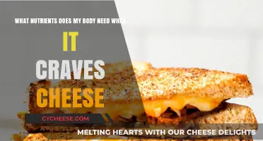 Cheese Cravings Decoded: Essential Nutrients Your Body Might Be Seeking
