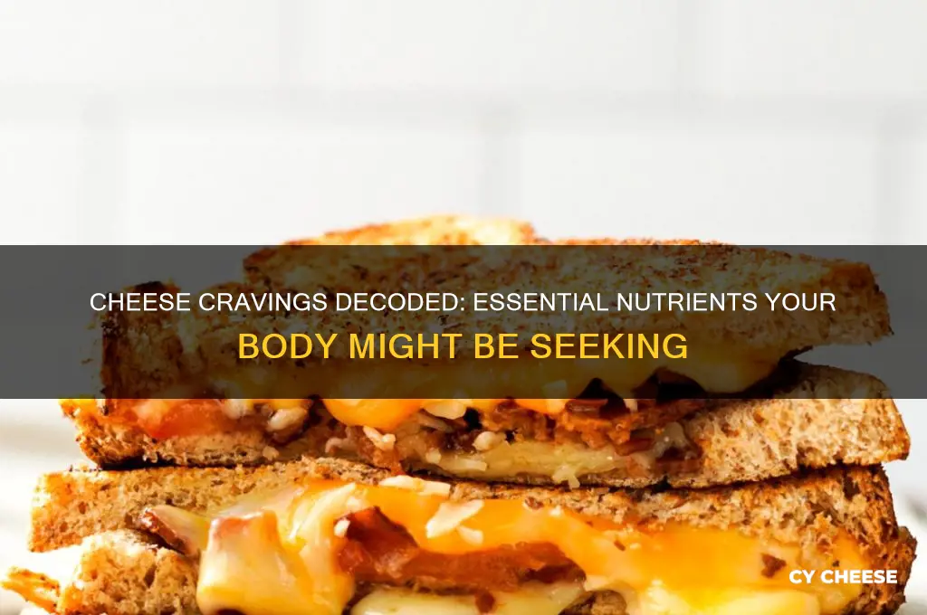 what nutrients does my body need when it craves cheese