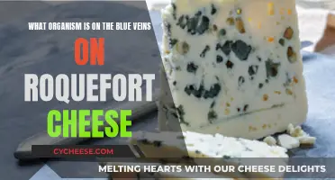 The Mystery of Blue Veins in Roquefort Cheese