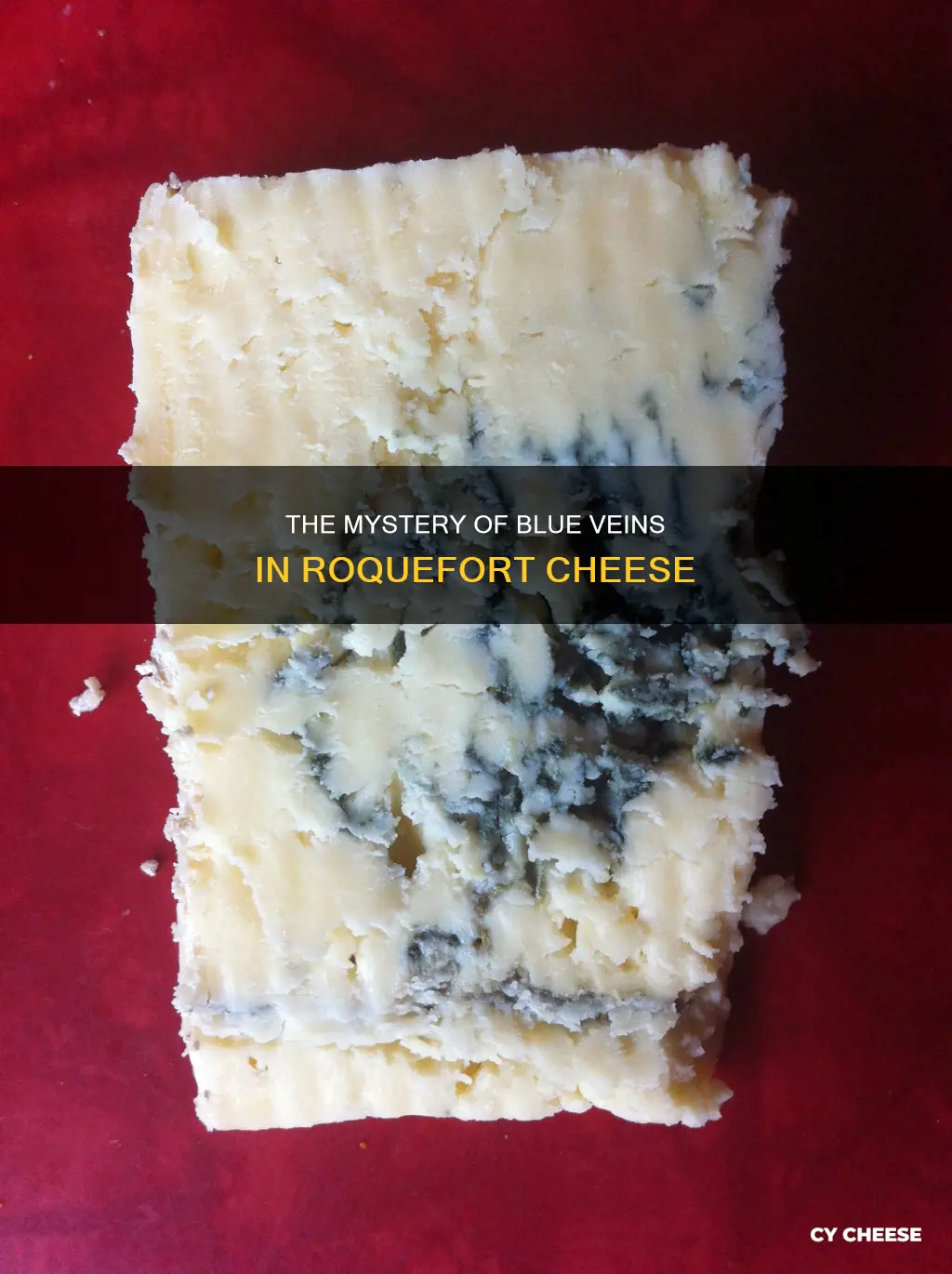 what organism is on the blue veins on roquefort cheese