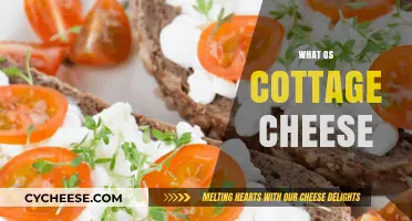 What is Cottage Cheese? A Creamy, Nutritious Dairy Delight Explained