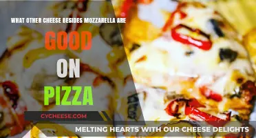 Beyond Mozzarella: Top Cheese Alternatives to Elevate Your Pizza Game