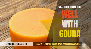 Gouda's Perfect Pair: Exploring Complimentary Cheeses