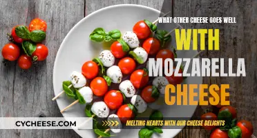 The Perfect Mozzarella Partners: Cheeses that Complement Mozz