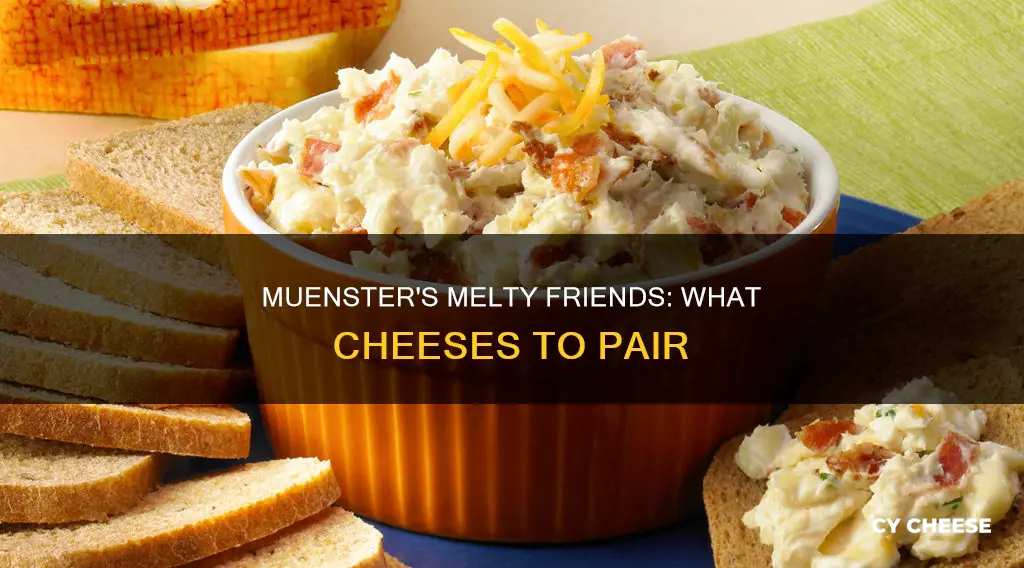 what other cheese goes with muenster