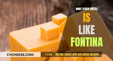 Exploring Cheesy Alternatives: The Fontina Look-Alikes