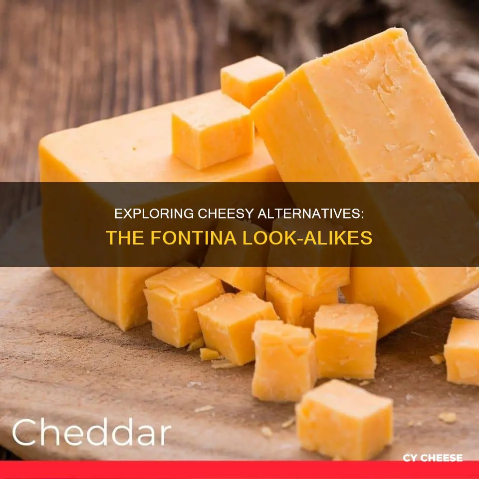 what other cheese is like fontina