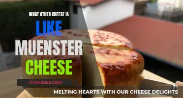 Exploring the World of Cheeses: A Muenster Alternative