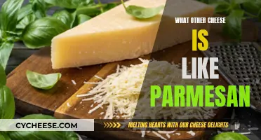 Exploring the World of Cheeses: Alternatives to the King of Cheeses, Parmesan