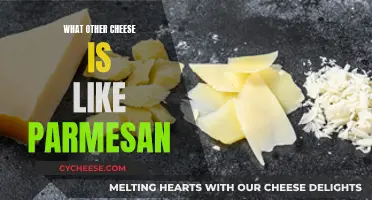 Parmesan Substitutes: Similar Cheeses for Your Favorite Italian Dish