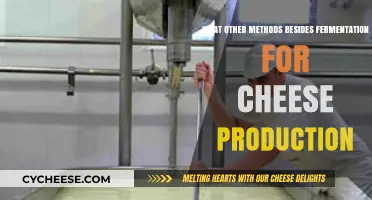 Exploring Alternative Cheese-Making Techniques Beyond Traditional Fermentation Methods
