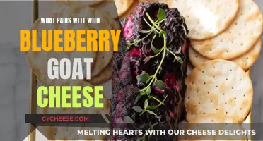 Blueberry Goat Cheese Bliss: Tasty Pairings Unveiled