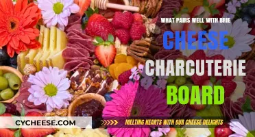 Perfect Pairings: Brie Cheese Charcuterie Board Companions and Combinations