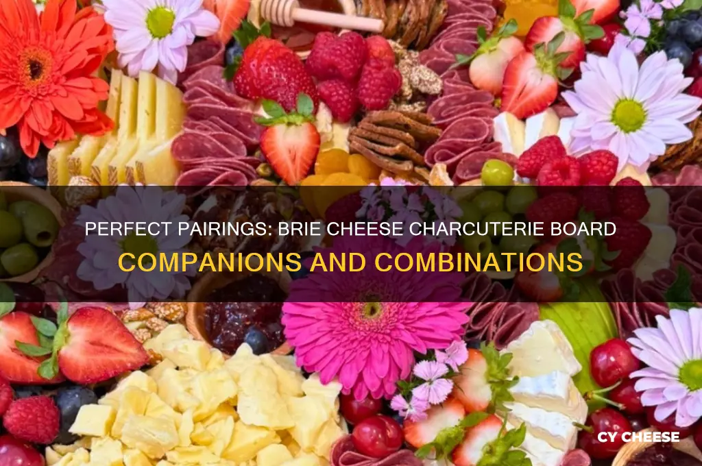 what pairs well with brie cheese charcuterie board