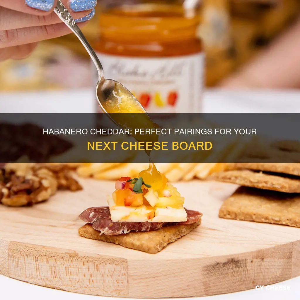 what pairs well with habanero cheddar cheese board