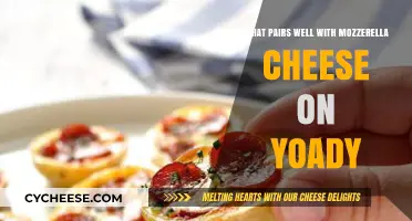 Delicious Mozzarella Pairings: Elevating Your Yoady with Perfect Cheese Combos