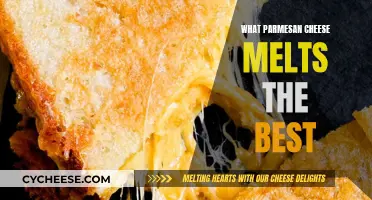 Parmesan Cheese: Melting the Best for Your Dish