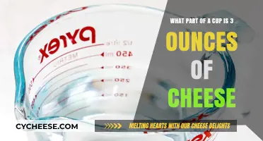 Cheese Portioning: How Much Cheese is 3 Ounces?