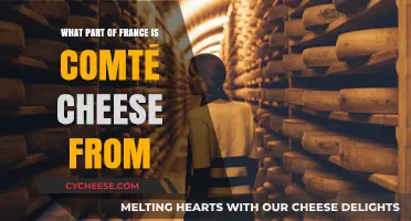 Discovering Comté Cheese: The Heart of France's Jura Region
