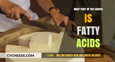 Understanding Cheese Composition: The Role of Fatty Acids Explained