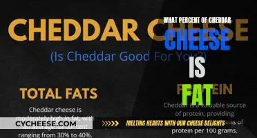 Unveiling Cheddar's Creamy Secret: A Fat-Filled Adventure