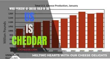 Cheddar's Dominance: Unveiling the US Cheese Market's Favorite