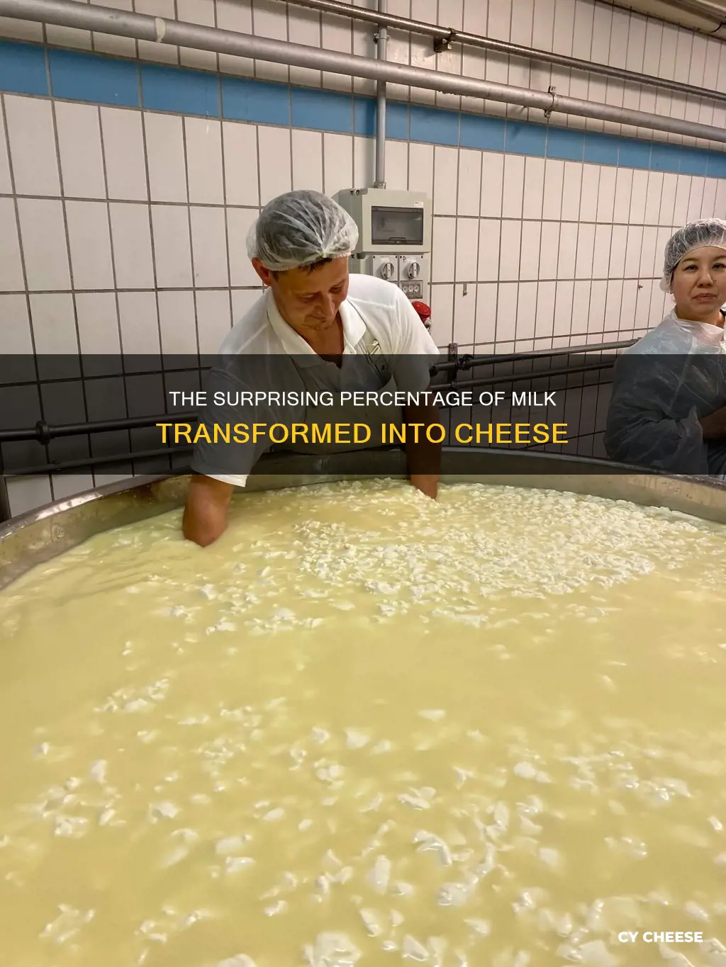 what percent of milk is made into cheese