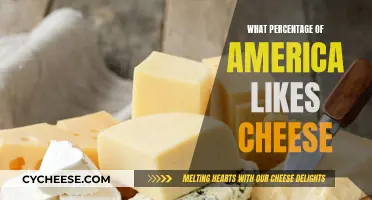 Cheese Lovers: Unveiling America's Favorite Dairy Delight